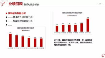 旅游业龙头 中国国旅财务分析报告